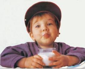 Milk and Dairy Products Milk and Dairy Products Picture